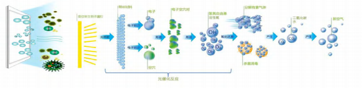 消杀原理图.png
